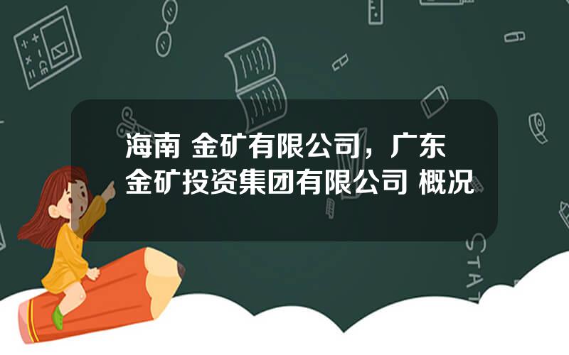 海南 金矿有限公司，广东金矿投资集团有限公司 概况